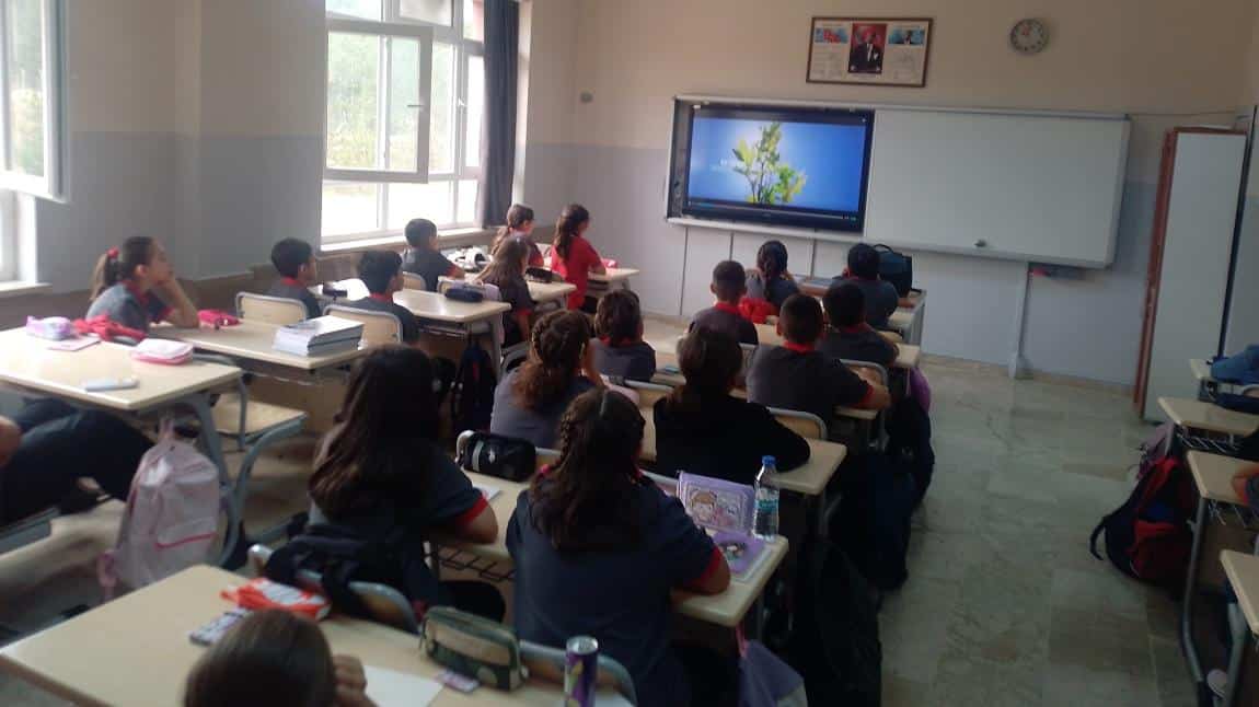 İlk Ders: Yeşil Vatan 